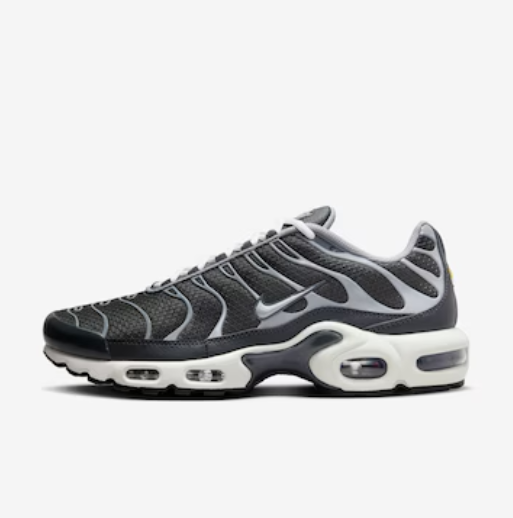 Nike Air Max Plus TN - Cinza