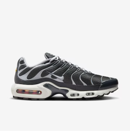 Nike Air Max Plus TN - Cinza