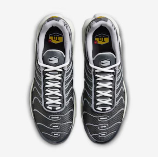 Nike Air Max Plus TN - Cinza